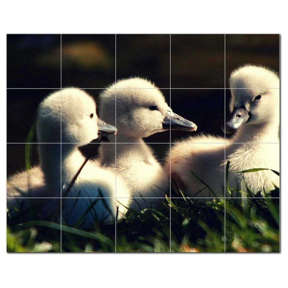 Bird Photo Ceramic Tile Mural Kitchen Backsplash Bathroom Shower, 404114-L54