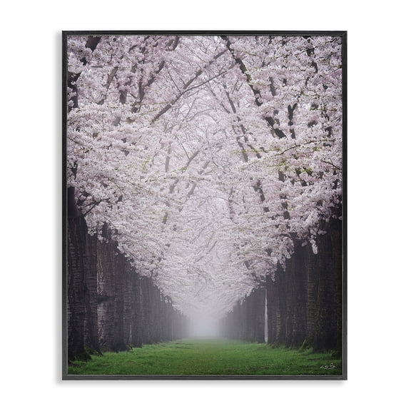 Stupell Industries French Country Cherry Blossom Grove Black Framed Giclee Art, 16 x 20, by Martin Podt