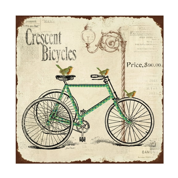Trademark Fine Art 'Bike 1' Canvas Art by Jean Plout