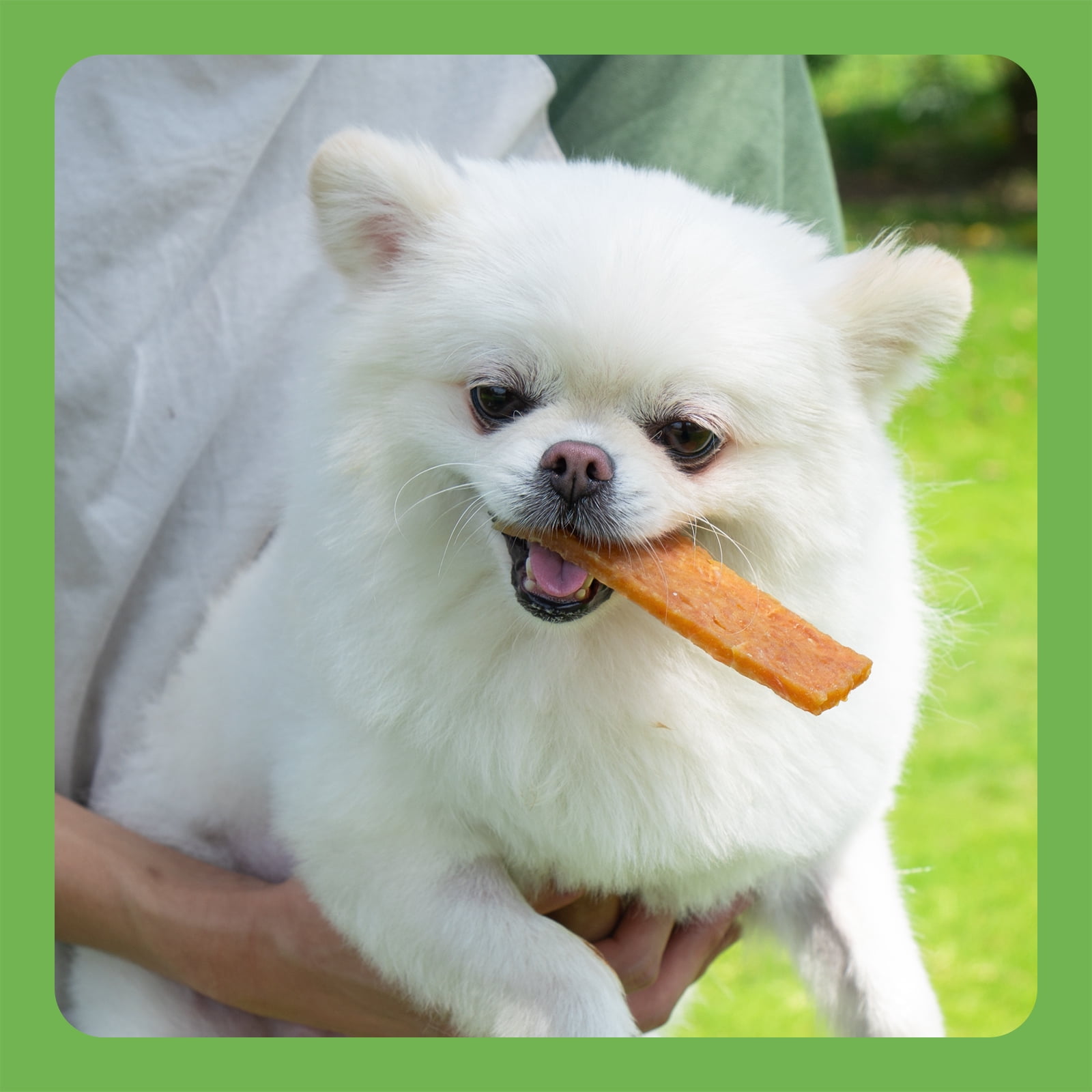 MON2SUN Chicken & Pumpkin Jerky Slice Small Dog Treats, 21.2 oz