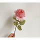 thumbnail image 1 of Xiao Hua 6 rosas artificiales con bordes adhesivos, flores falsas, flores artificiales para decoración de bodas, 1 of 5