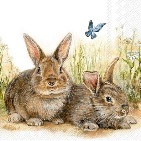 Boston International IHR 3-Ply Paper Cocktail Napkins, 5 x 5-Inches, Bunny and Clyde