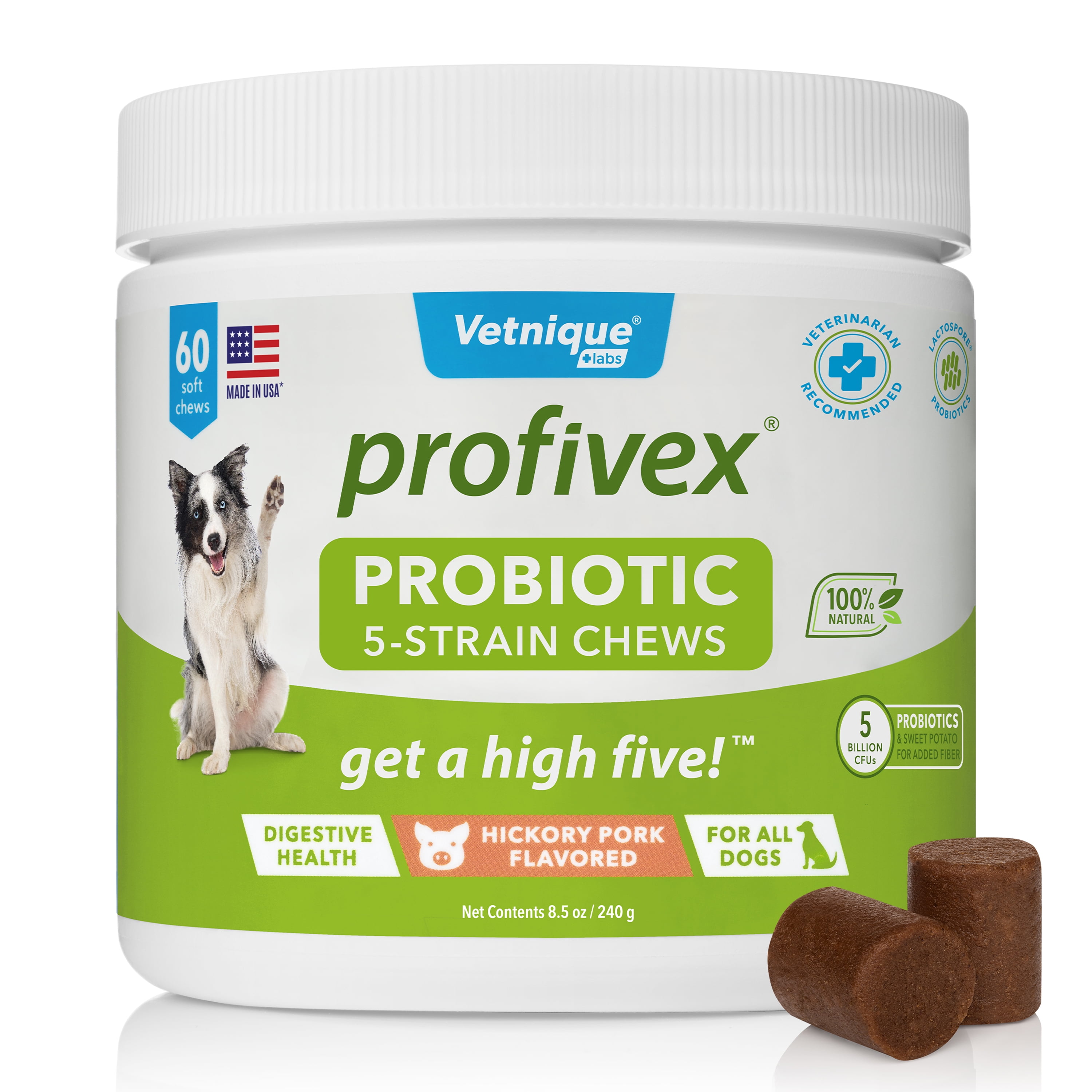 Can Dogs Take Probiotics Daily