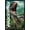 Black Framed Version, variant on Jurassic World: Rebirth (2025) - Velociraptor Wall Poster, 22.375" x 34"