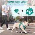 thumbnail image 6 of PayUSD Dog Harness with Leash Cat Harness No Pull Adjustable No Choke Pet Vest for Small Dogs Cats, 6 of 9