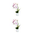 thumbnail image 4 of Advancent Sin flores de imitación marchitas para una belleza duradera en cualquier entorno Bonsái artificial sin riego Type2 NO2, 4 of 6