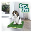 thumbnail image 2 of Alfombra Sanitaria Dry Pet 68 x 43 cm Verde, 2 of 3