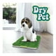thumbnail image 2 of Alfombra Sanitaria Dry Pet 68 x 43 cm Verde, 2 of 3