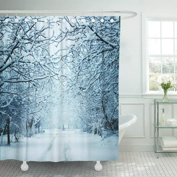 Frozen Scenic Shower Curtain 66x72 Inch, 88 Inch Long Shower Curtain