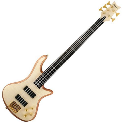 schecter stiletto custom 5 string bass