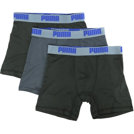 boxer puma boxer puma