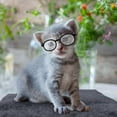 thumbnail image 4 of unbranded 2Ud Gafas Para Perro De Material PP Y Flexible Para Y Fiestas, 4 of 8