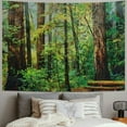 thumbnail image 2 of PRATYUS  Woodland Tapestry, Redwood Trees Northwest Rain Forest Tropical Scenic Wild Nature Branch, Wide Wall Hanging for Bedroom Living Room Dorm, Green and Brown Painting, 2 of 6