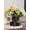 Black, variant on Flower Vase for Decor Black Ceramic Face Vase for Flowers, Head Vase, Female Form Head Bust Vases, Modern Minimalism Vase for Home Decor Living Room Office Table Desk Decoration (W 6" x H 5")