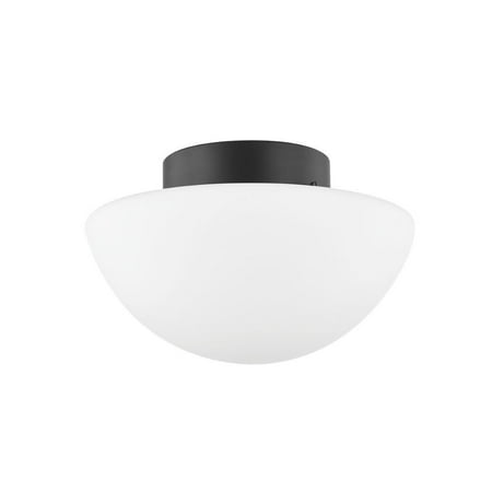 

1 Light Flush Mount-7 Inches Tall And 12 Inches Wide Mitzi H611501-Sbk