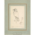 thumbnail image 3 of Charles Meryon 19x24 Black Modern Framed Museum Art Print Titled - A Raven Perched on a Rail (Mid-19th Century), 3 of 5