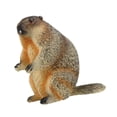 thumbnail image 3 of Modelo de Marmota Figura de Juego de Animales Modelo de Juego Realista para El Hogar Artesanía de Educativas Tempranas para Niños Niñas Niñas de pie, 3 of 8