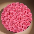 thumbnail image 3 of Rosas preservadas Prifroti, 47 rosas rosas en caja de gamuza de lujo, 3 of 6