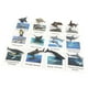 thumbnail image 5 of Figuras de Animales Sunnimix 12 Unids con Tarjetas Flash Realistas, 5 of 8