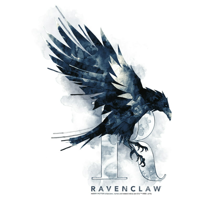 Harry Potter Ravenclaw