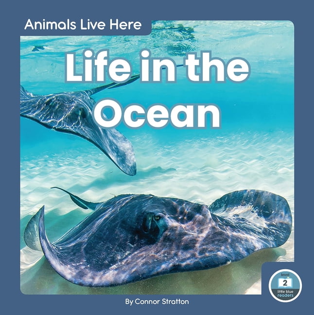 Animals Live Here: Life in the Ocean (Hardcover) 