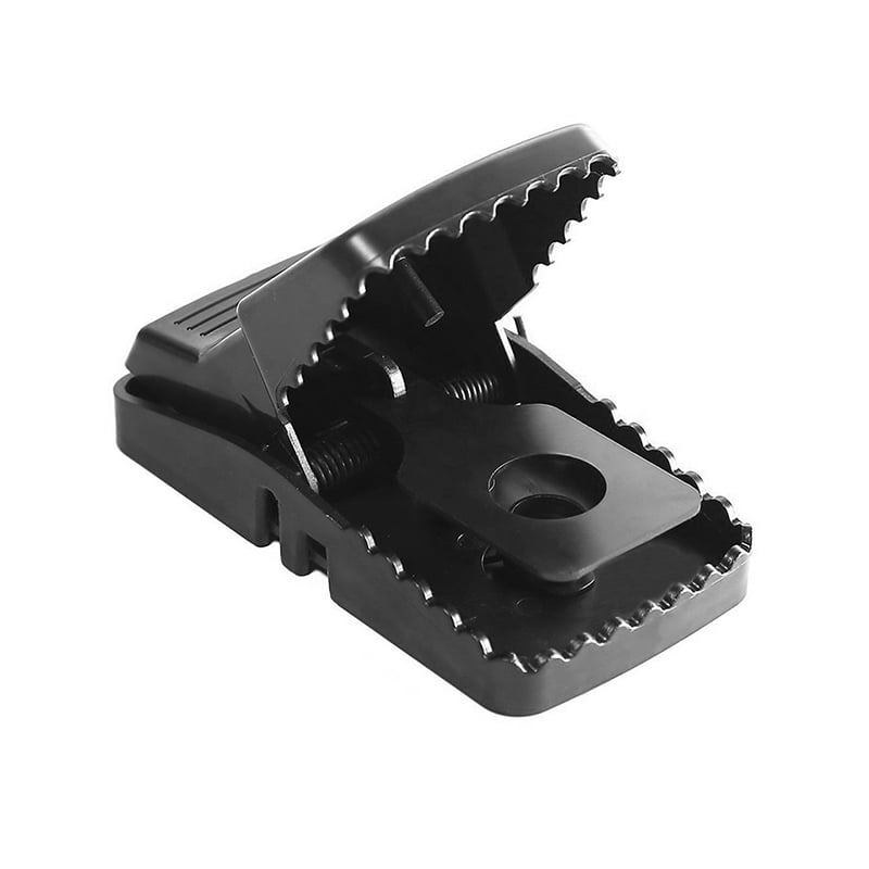Mouse Trap Rat Mice Trap That Power Rodent Animal