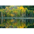 thumbnail image 2 of Wells, Joanne 24x17 White Modern Wood Framed Museum Art Print Titled - Maine Reflections at Beaver Dam Pond in Acadia National Park, 2 of 4