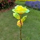 thumbnail image 3 of Billuyoard Luces de flores alimentadas por energía Solar, luz Solar para césped de rosas, luces decorativas para césped al aire libre, luz de Jardín y Patio, 3 of 6