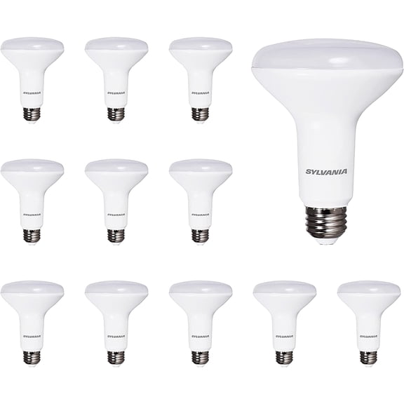 SRWEHG-Sylvania LED Flood BR30 Light Bulb, 65W = 9W, 10 Year, 650 Lumens, Dimmable, 2700K, Soft White - 12 Pack (41262)