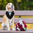 thumbnail image 1 of Formal Dog Tuxedo Bandana, Adjustable D , Premium Fabrics, Designed For Weddings And More, 1 of 8