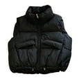 thumbnail image 2 of BAETEUY Women Vest Coat with Stand Collar - Sleeveless Zipper Placket Cotton Waistcoat, 2 of 8