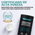 thumbnail image 2 of Creatina Monohidratada Micronizada en Polvo Sin Sabor Beyond Vitamins, Alta Pureza, 300 g (60 Porciones), 2 of 7