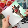 thumbnail image 5 of The Best Card Company Wild Kisses - Birthday Greeting Card with Envelope (4.63 x 6.75 Inch) - C9280ABDG, 5 of 5