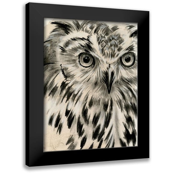 Parker, Jennifer Paxton 12x14 Black Modern Framed Museum Art Print Titled - Charcoal Owl I
