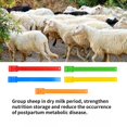 thumbnail image 4 of 10 Pcs Goat Collar Sheep Identification Bands Livestock Farming,. Marking, 4 of 6
