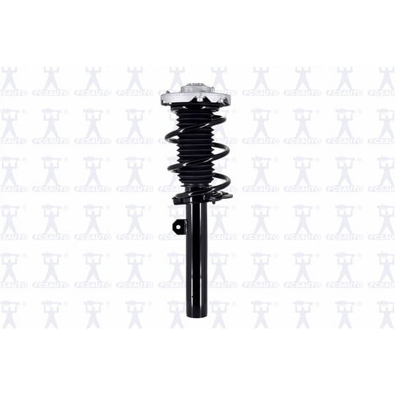 Suspension Strut and Coil Spring Assembly