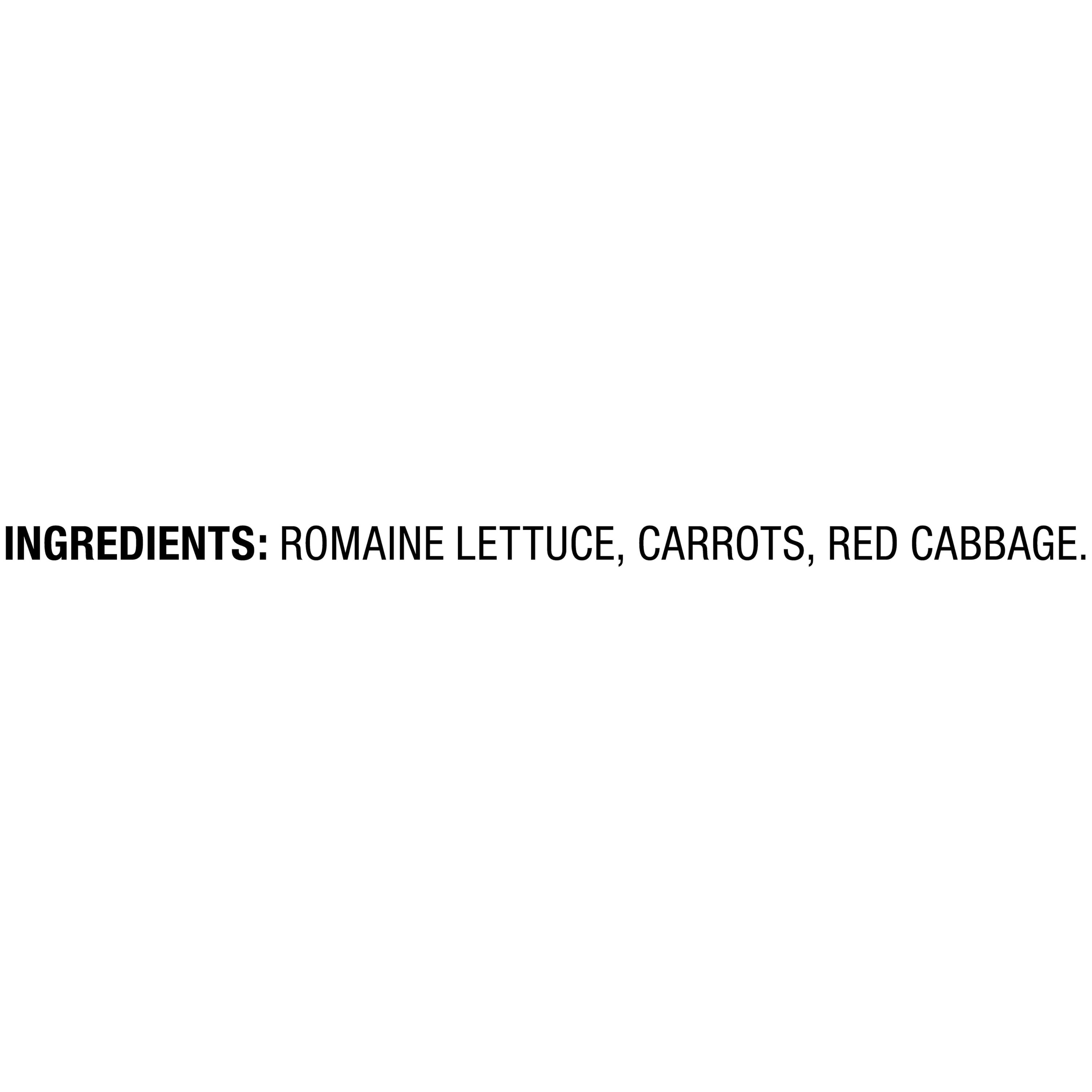 Marketside Premium Romaine Salad Blend, 18 oz Bag (Fresh)