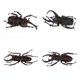 thumbnail image 4 of Modelo Para Niños Biología Animal Ciencia Ayudas Para, 4 of 7