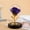 Purple, variant on Eternal Gold Foil Rose in Glass Dome LED Night Light Romantic Gift Illuminated Flower Decoration Valentine Present Anniversary Gift Multiple Colors