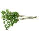 thumbnail image 3 of 6 piezas de material para ramo de bricolaje, rama de hojas verdes, exquisita decoración de plantas artificiales, 3 of 7