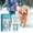 multicolor, variant on RuiJiao Pet-Safe Ice Melt: Non-Toxic, Eco-Friendly Formula for Fast Snow Removal – Slip-Resistant, Plant-Safe, Long-Lasting Winter Protection (60ml)
