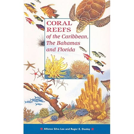 Coral Reefs Of The Caribbean The Bahamas And Florida