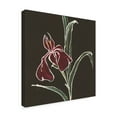 thumbnail image 2 of Trademark Fine Art 'Iris on Black V' Canvas Art by Chris Paschke, 2 of 3