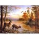 thumbnail image 1 of Diamond Painting Full Rhinestones Deer Elk Animals Lake Forest Diy, Diy 5d Diamond Embroidery Painting Diamond Mosaic, 1 of 2