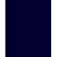 thumbnail image 1 of La Structure des Organisations Féminines à But Non Lucratif, 1 of 1