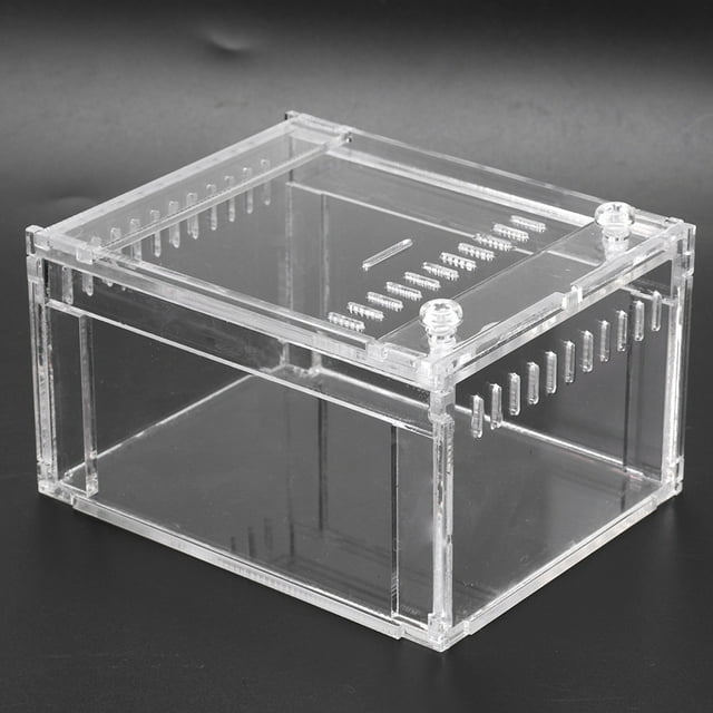 Conception Anti-Escapade, Terrarium de Reptiles, Transparent pour les Serpents de Tortues