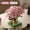 Small Pink-Opp, variant on DIY Sakura Tree Building Blocks Set Diy Cherry Blossom Bricks with Light Treehouse Model Ornament Romantic Gift for Girl Friend