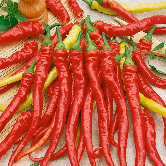 Ristra Cayenne F1 Hybrid Hot Pepper Seeds - 300 Mg Packet ~40 Seeds - Non-GMO, F1 Hybrid - Vegetable Garden - Capsicum annuum