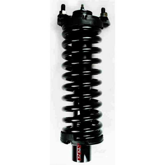 Suspension Strut and Coil Spring Assembly