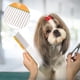 thumbnail image 2 of Peine recortador de pelo para mascotas, peine para el pelo de perros y gatos, peine antiestático, fila recta (dorado), 2 of 8